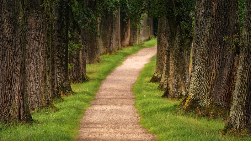 Revealing Paths